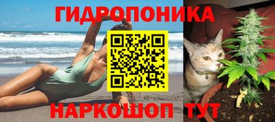 спиды Славгород