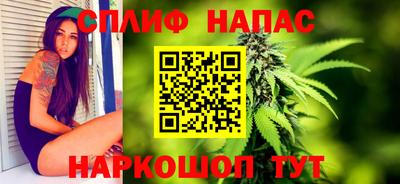 спиды Славгород