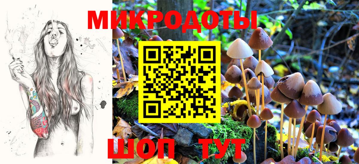 Псилоцибиновые грибы Psilocybe Малоярославец